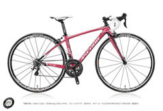ANCHOR 2015 ROADBIKE RL8W ELITEWOMAN LADY S6 RACING CHERRY PINK COLOR（アンカー 2015年モデル ロードバイク エリート 女性用 レーシング チェリー ピンク カラー）