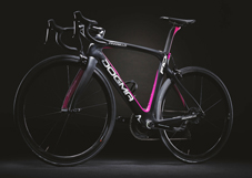 PINARELLO 2019 ROADBIKE DOGMA F101 F10 FRAME SET 215 Giro d’Italia COLOR（ピナレロ 2019年モデル ロードバイク ドグマ エフテン フレームセット ジロ・デ・イタリア カラー）
