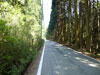 ROADBIKE CYCLING TOURING COURSE MAP（ロードバイク ツーリング サイクリング マップ コース 北摂 猪名川町 杉生）