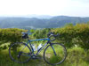 ROADBIKE CYCLING TOURING COURSE MAP（ロードバイク ツーリング サイクリング マップ コース 北摂 猪名川町 大野山 頂上）