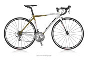 ANCHOR 2015 ROADBIKE RA6 SPORT JX RACING GOLD COLOR（アンカー 2015年モデル ロードバイク スポーツ レーシングゴールド カラー）
