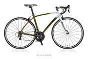 ANCHOR 2015 ROADBIKE RFA5 EQUIPE XV RACING GOLD YELLOW COLOR（アンカー 2015年モデル ロードバイク エキップ レーシングゴールド カラー）