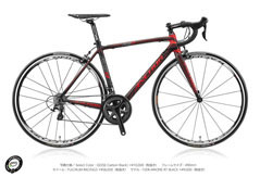 ANCHOR 2015 ROADBIKE RIS8 ELITE GD SPECIAL EDITION CARBON BLACK COLOR （アンカー 2015年モデル ロードバイク エリート スペシャルエディション カーボン ブラック カラー）