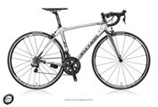 ANCHOR 2015 ROADBIKE RL8 EQUIPE SW RACING WHITE COLOR（アンカー 2015年モデル ロードバイク エキップ レーシングホワイト カラー）