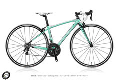 ANCHOR 2015 ROADBIKE RL8W FRAME SET WOMAN LADY S5 RACING MINT COLOR（アンカー 2015年モデル ロードバイク フレーム セット 女性用 レーシングミント カラー）