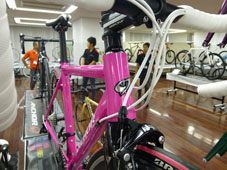 ANCHOR 2015 ROADBIKE RA6 FRAME SET PG VIVID PINK COLOR HEADTUBE（アンカー 2015年モデル ロードバイク フレーム セット ビビッド ピンクカラー ヘッドチューブ）