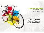CANNONDALE CUSTOM LAB WEB SITE HP キャノンデール カスタム ラボ ホームページ サイト