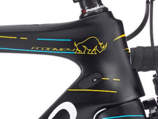 PINARELLO 2019 ROADBIKE DOGMA F10 Xlight FRAME SET 927 BLACK TDF RHINO COLOR HEADTUBE（ピナレロ 2019年モデル ロードバイク ドグマ エフテン エックスライト フレームセット ブラック ツールドフランス リノ カラー）