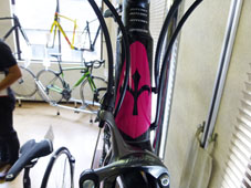 WILIER TRIESTINA 2019 ROADBIKE LUNA Alumi SHIMANO 105 11s MAGENTA PINK COLOR HEADTUBE（ウィリエール トリエスティーナ 2019年モデル ロードバイク ルナ アルミ シマノ 11スピード 完成車 マジェンタピンク カラー）