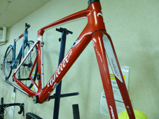 WILIER TRIESTINA 2019 ROADBIKE CENTO10 CENTO 10 AIR PRO SHIMANO DURAACE RED WHITE COLOR FRONT FORK（ウィリエール トリエスティーナ 2019年モデル ロードバイク チェント ディエチ エアー プロ シマノ デュラエース 完成車 レッドホワイト カラー）