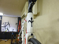 WILIER TRIESTINA 2019 ROADBIKE GTR GRAN TURISMO R TEAM SHIMANO DURAACE 11s WHITE COLOR HEADTUBE（ウィリエール トリエスティーナ 2019年モデル ロードバイク グランツーリズモ アール チーム シマノ デュラエース 11スピード 完成車 ホワイト カラー）