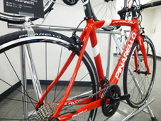 PINARELLO 2020 ROADBIKE ANGLIRU SHIMANO ULTEGRA R8000 11s 298 REDWHITE SEATSTAY ピナレロ 2020年モデル ロードバイク アングリル シマノ アルテグラ 11スピード 完成車 レッドホワイト