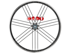 CAMPAGNOLO SHAMAL ULTRA C17 WO CULT BEARING WHEEL DARK LABEL（カンパニョーロ シャマル ウルトラ  クリンチャー　カルトベアリング  ホイール ダークラベル）