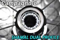 CAMPAGNOLO SHAMAL DUAL PROFILE C23 DB WHEEL カンパニョーロ シャマル デュアル プロファイル ディスク ホイール 15