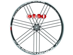CAMPAGNOLO 2015 SHAMAL ULTRA WO CULT BEARING SPECIAL VERSION REAR WHEEL（カンパニョーロ シャマル ウルトラ  クリンチャー リア ホイール カルト ベアリング スペシャル バージョン ）